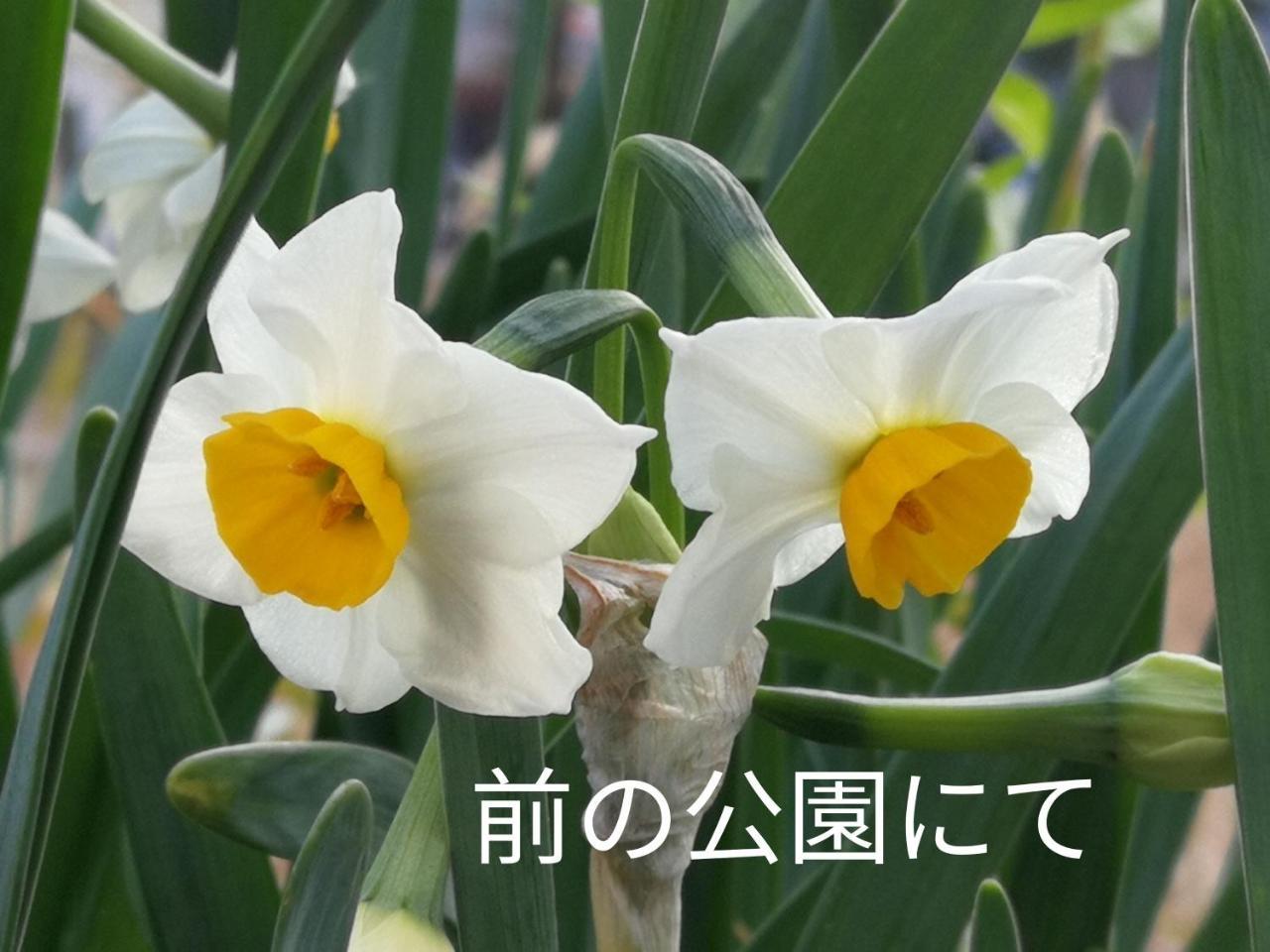 Base Osaka Διαμέρισμα Εξωτερικό φωτογραφία